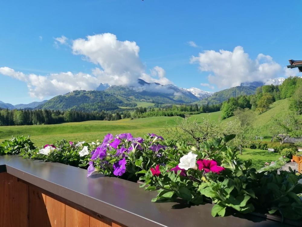 Landhaus Bergblick Kössen Kültér fotó